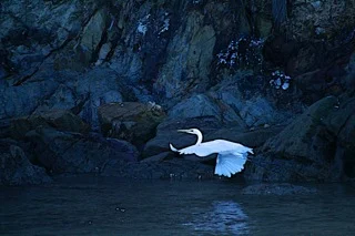 2014 Atlas of Life Photography Competition