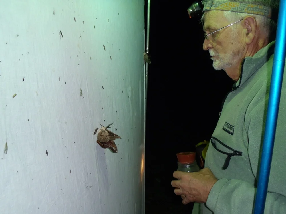 Mimosa rocks Bioblitz coming November 7 & 8th