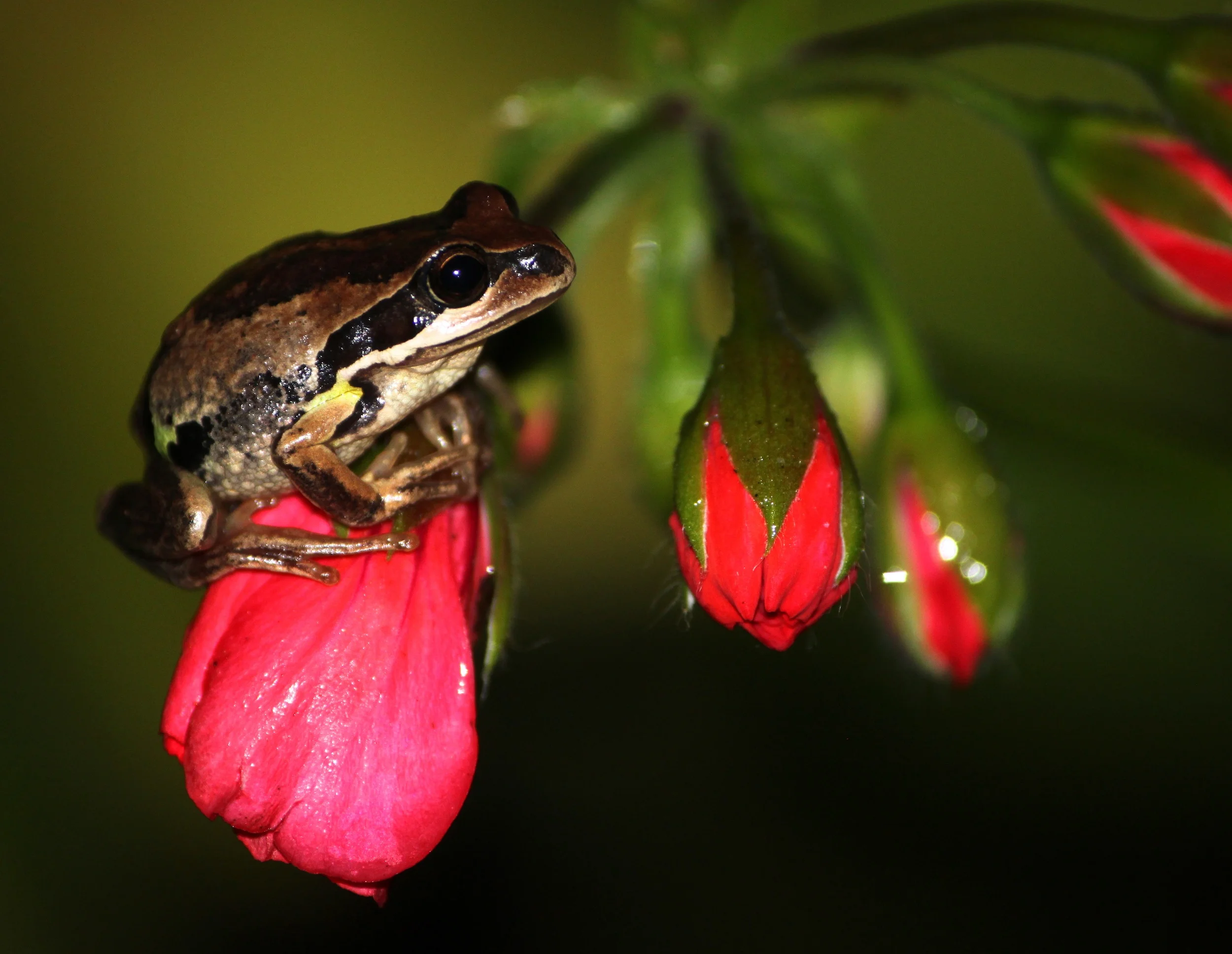 Great photo competition prizes! enter your best