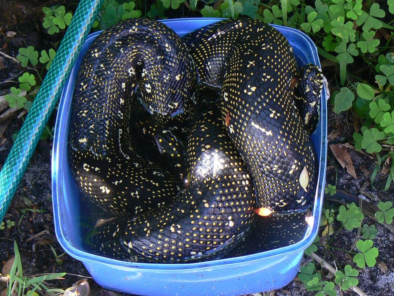 Time for a spring clean