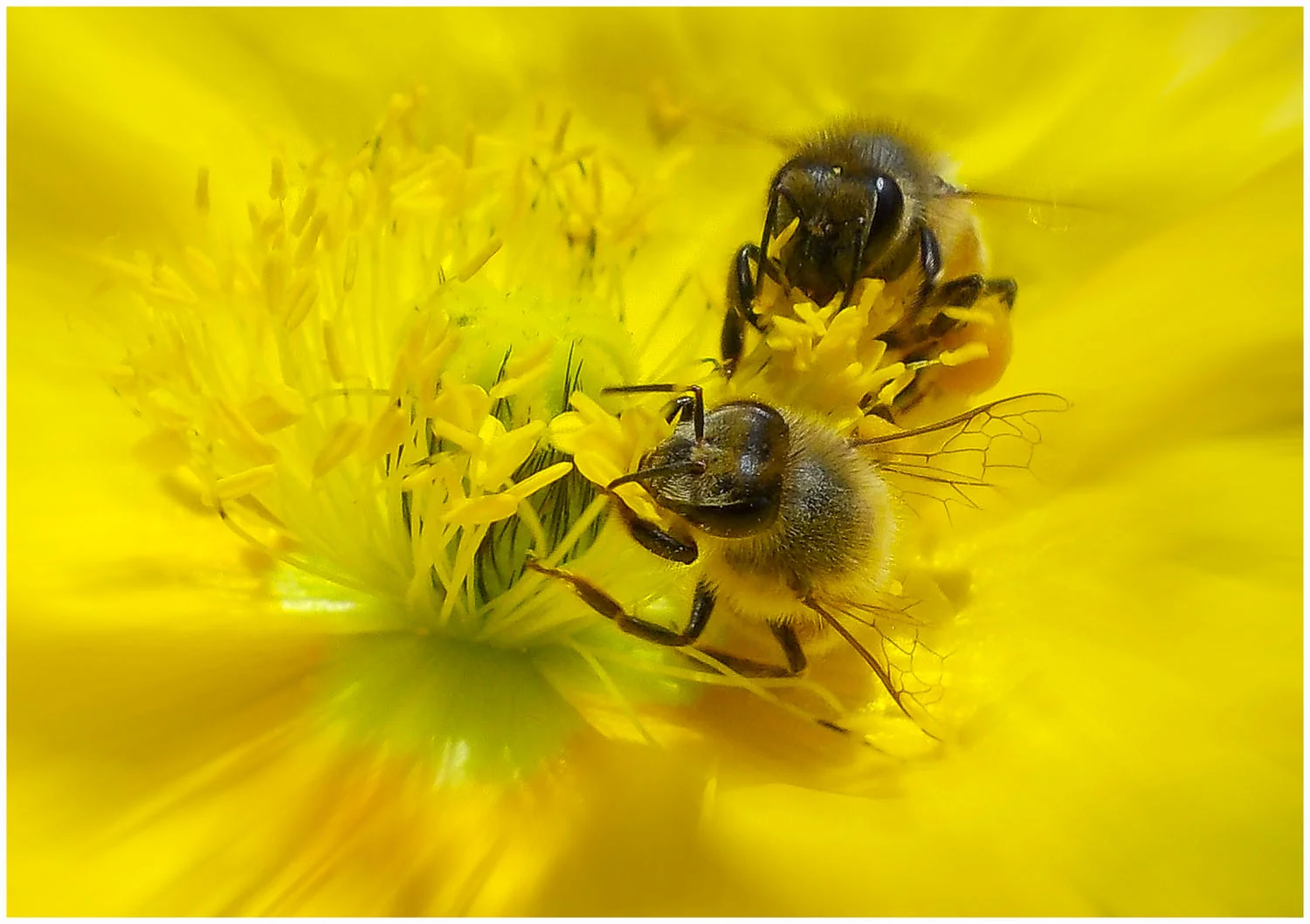 2014 Photocomp Exhibition at Tanja