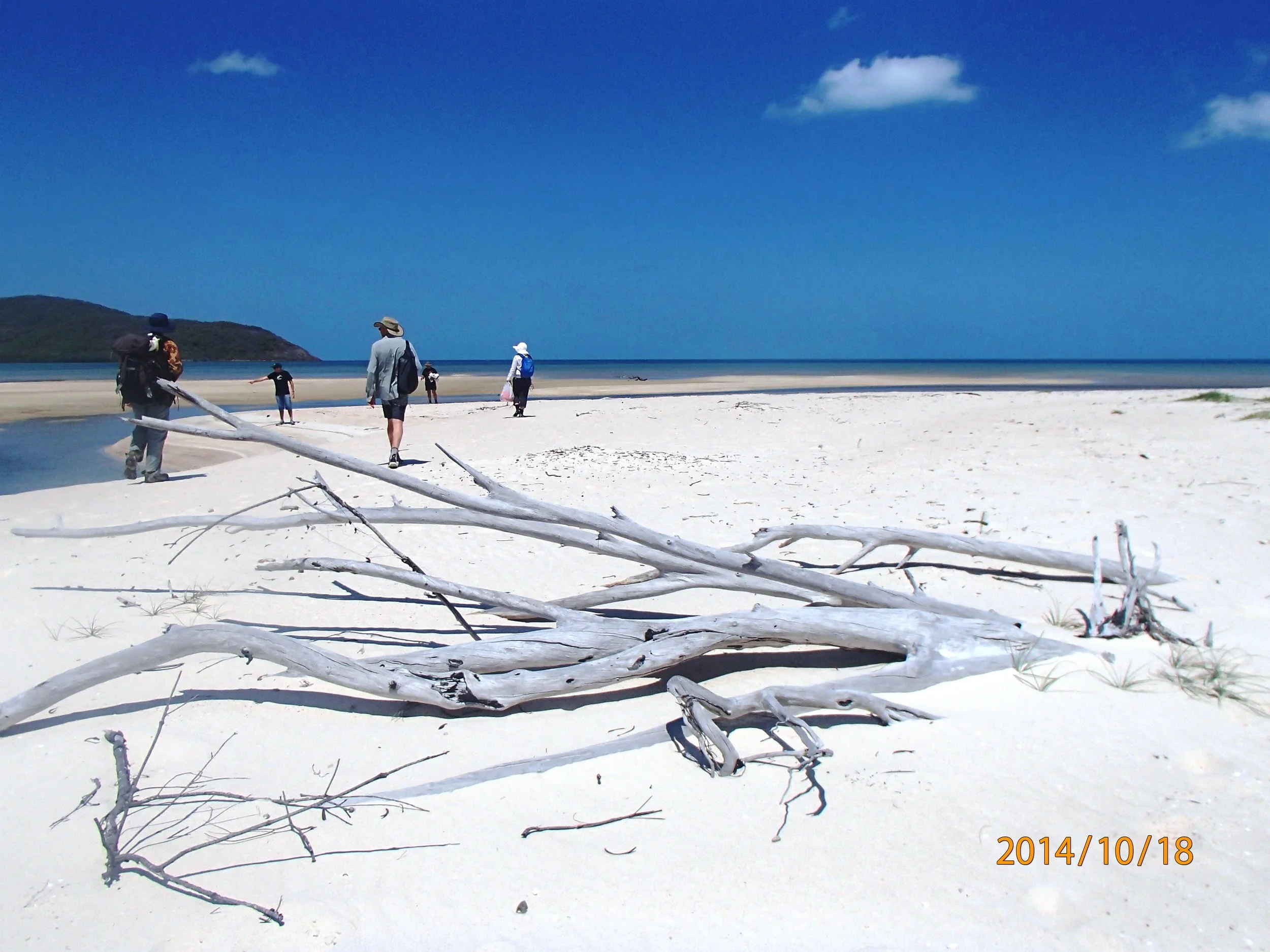 Marine Discovery Centre Networking - Island Style