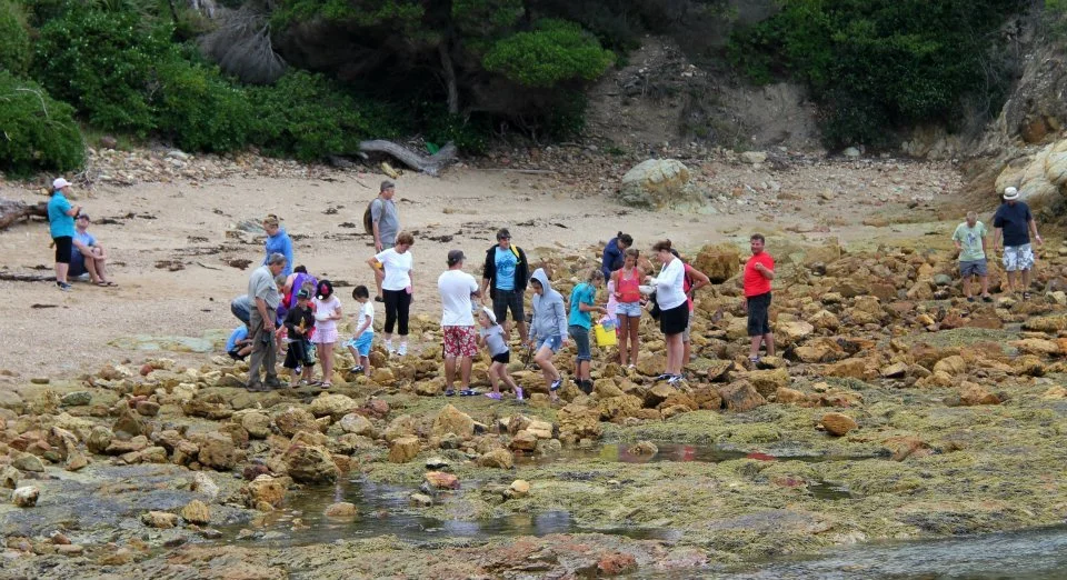 SCMDC Summer Holiday Activities