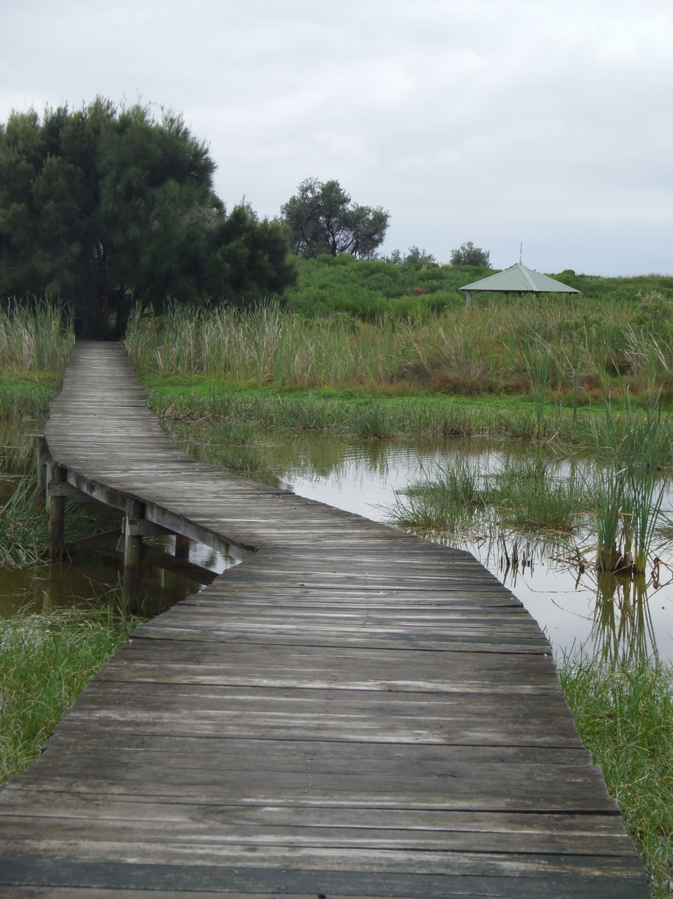 What's special about Bermagui Lagoon?