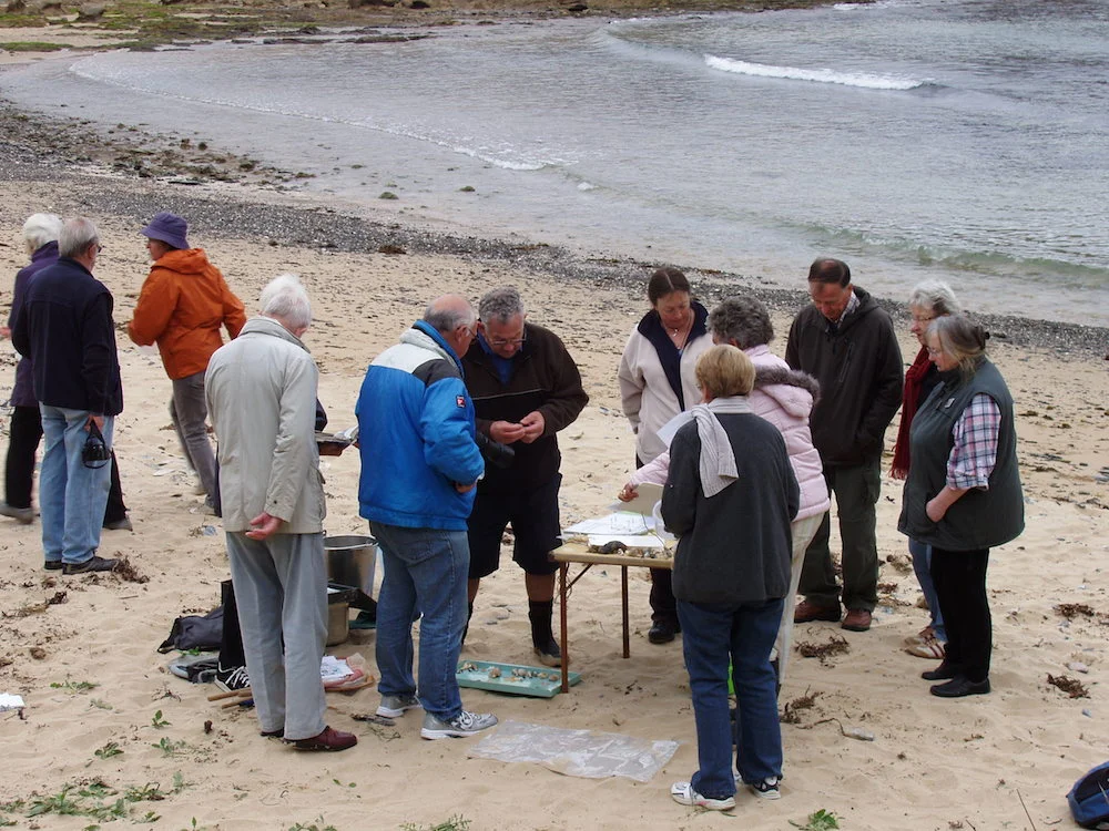 Marine Society date for your diary Saturday April 11th