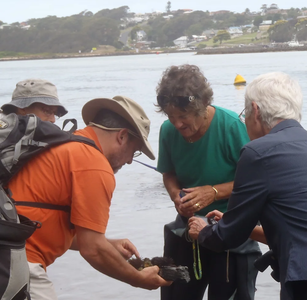 Marine Society outing Narooma Boardwalk