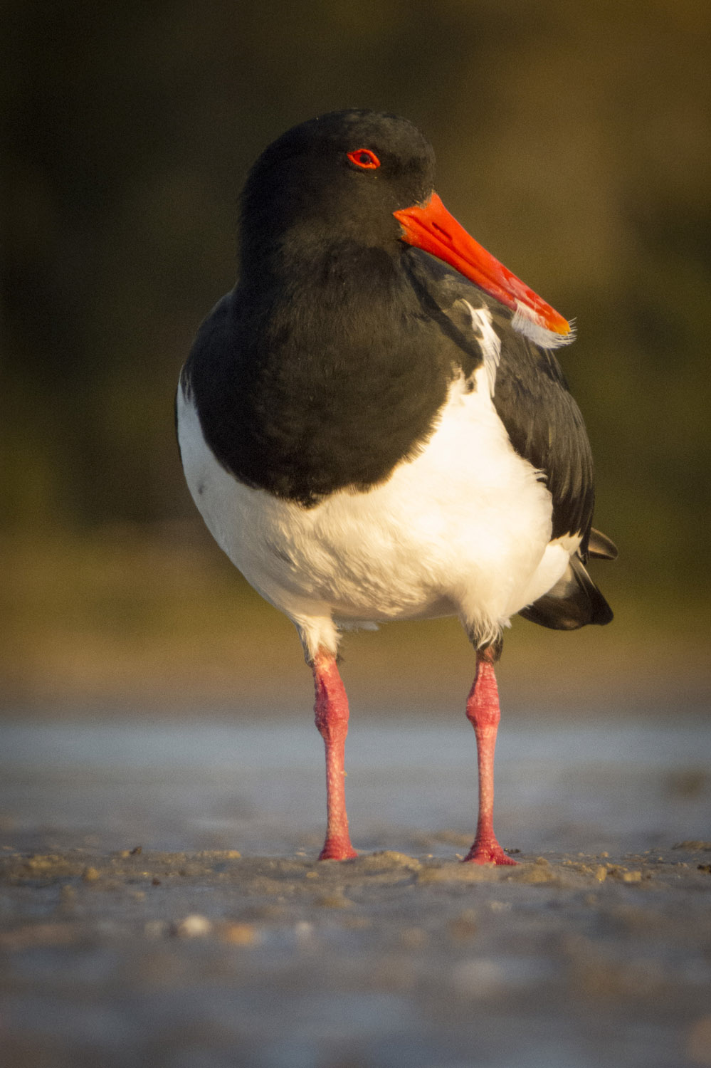 Last chance to enter the 2015 photo comp!