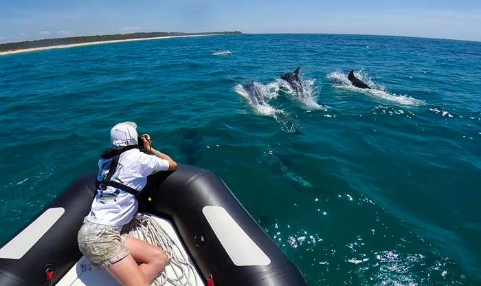 Atlas & Marine Society Christmas supper