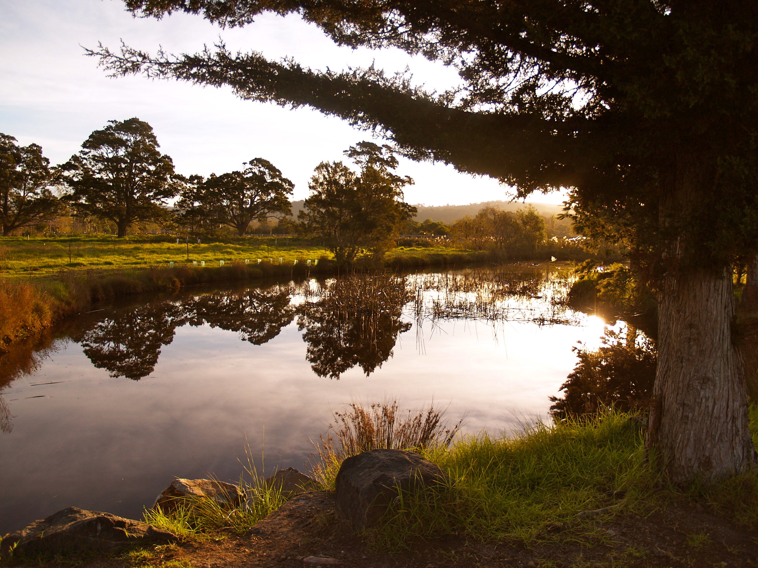 World Wetlands Day at Panboola Tuesday Feb 2nd
