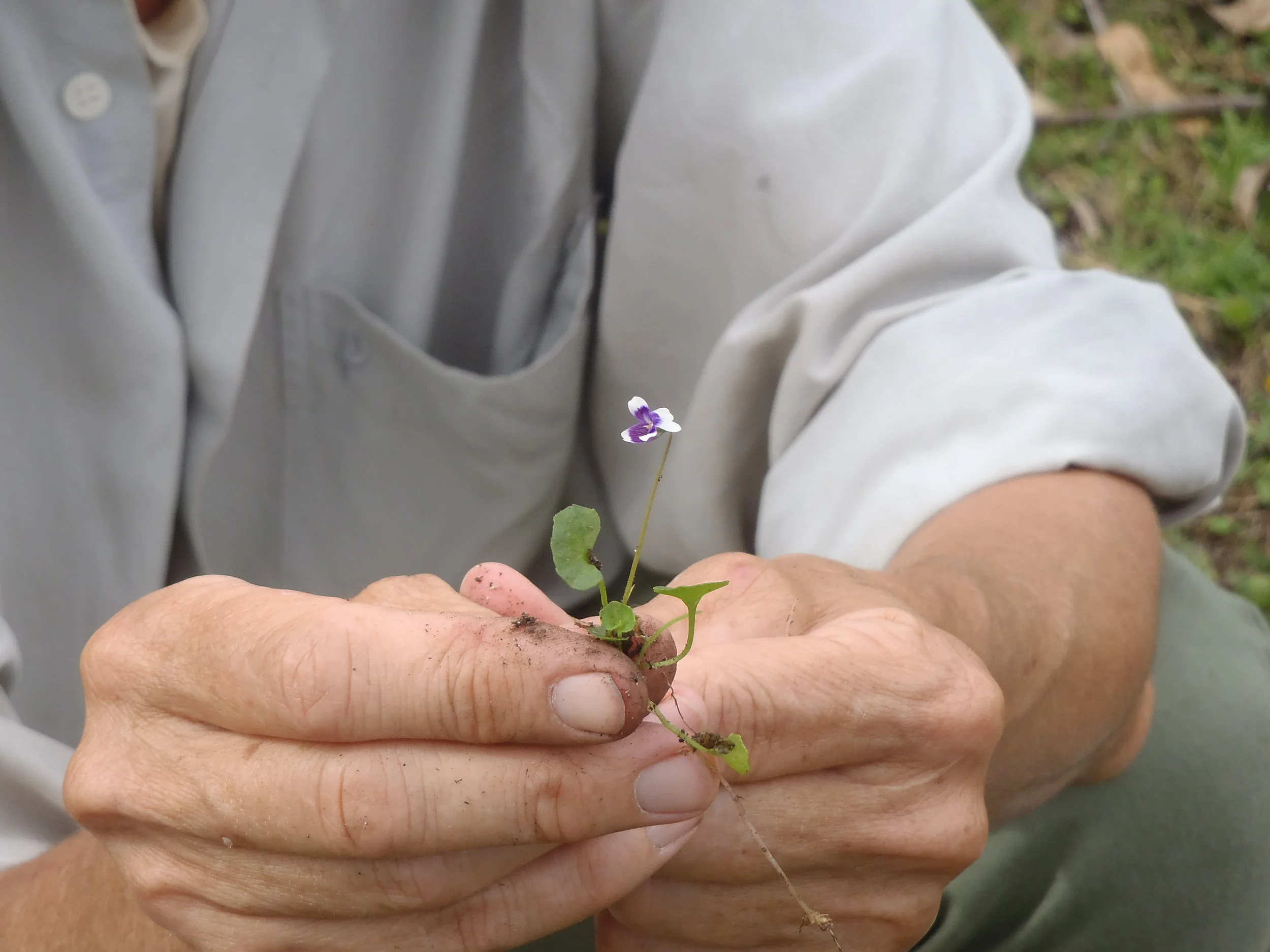 A Field Naturalist group here?