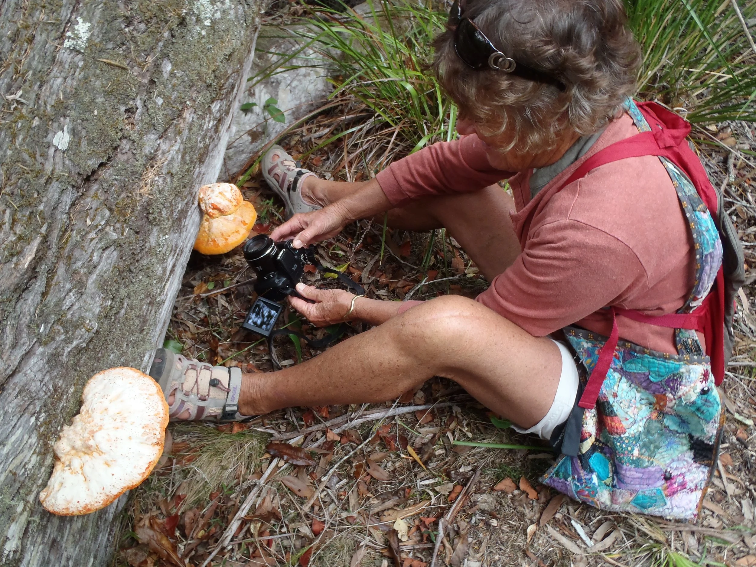 Atlas of Life planning meeting