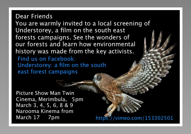 new film - Understorey