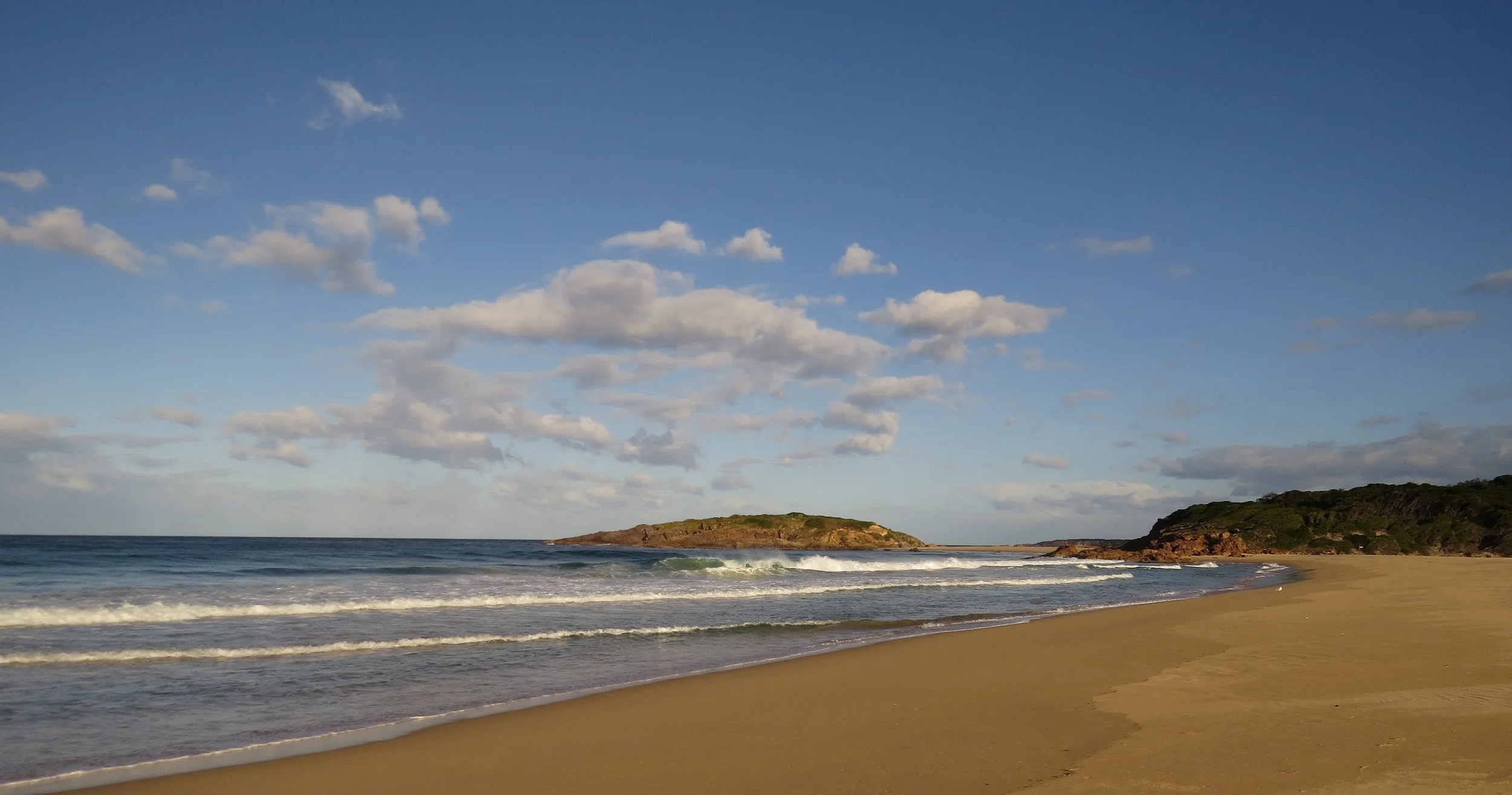 Bournda EEC World Environment Day Dinner