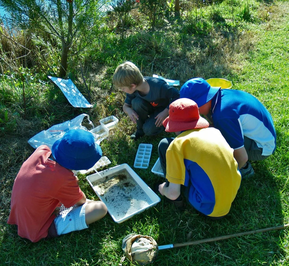 2016 BioBlitz at Four Winds near Bermagui