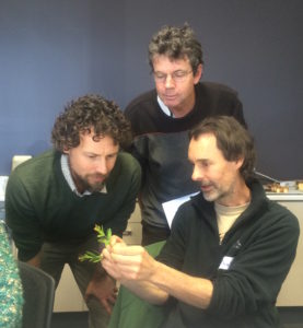 CMN Plant Identification Workshop & Field Trip