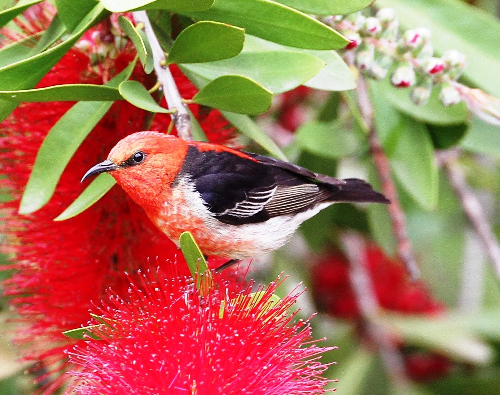 Atlas of Life AGM Saturday December 3rd