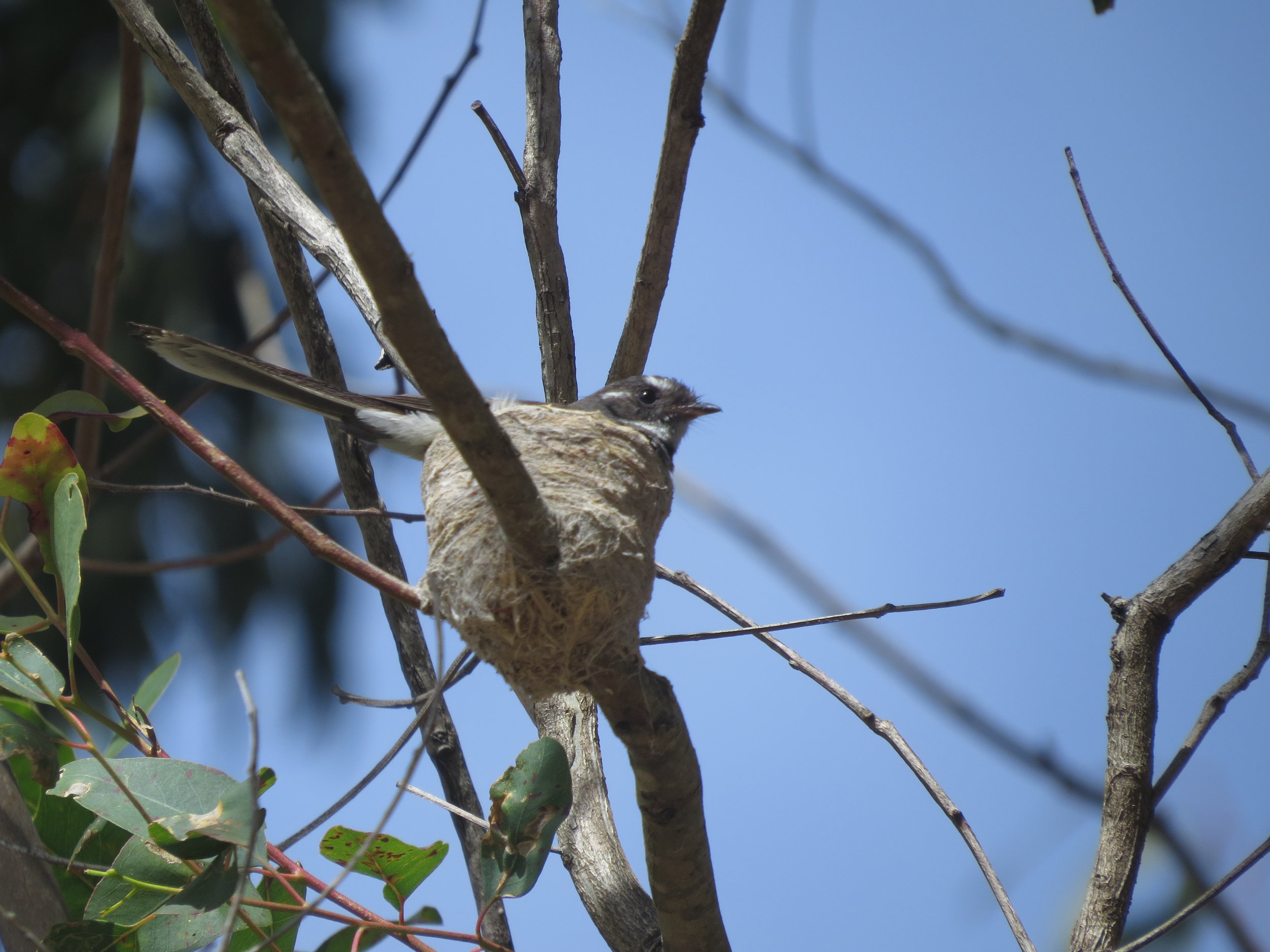 Grand Designs for some ?