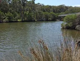 Merimbula & Back Lake coastal management program
