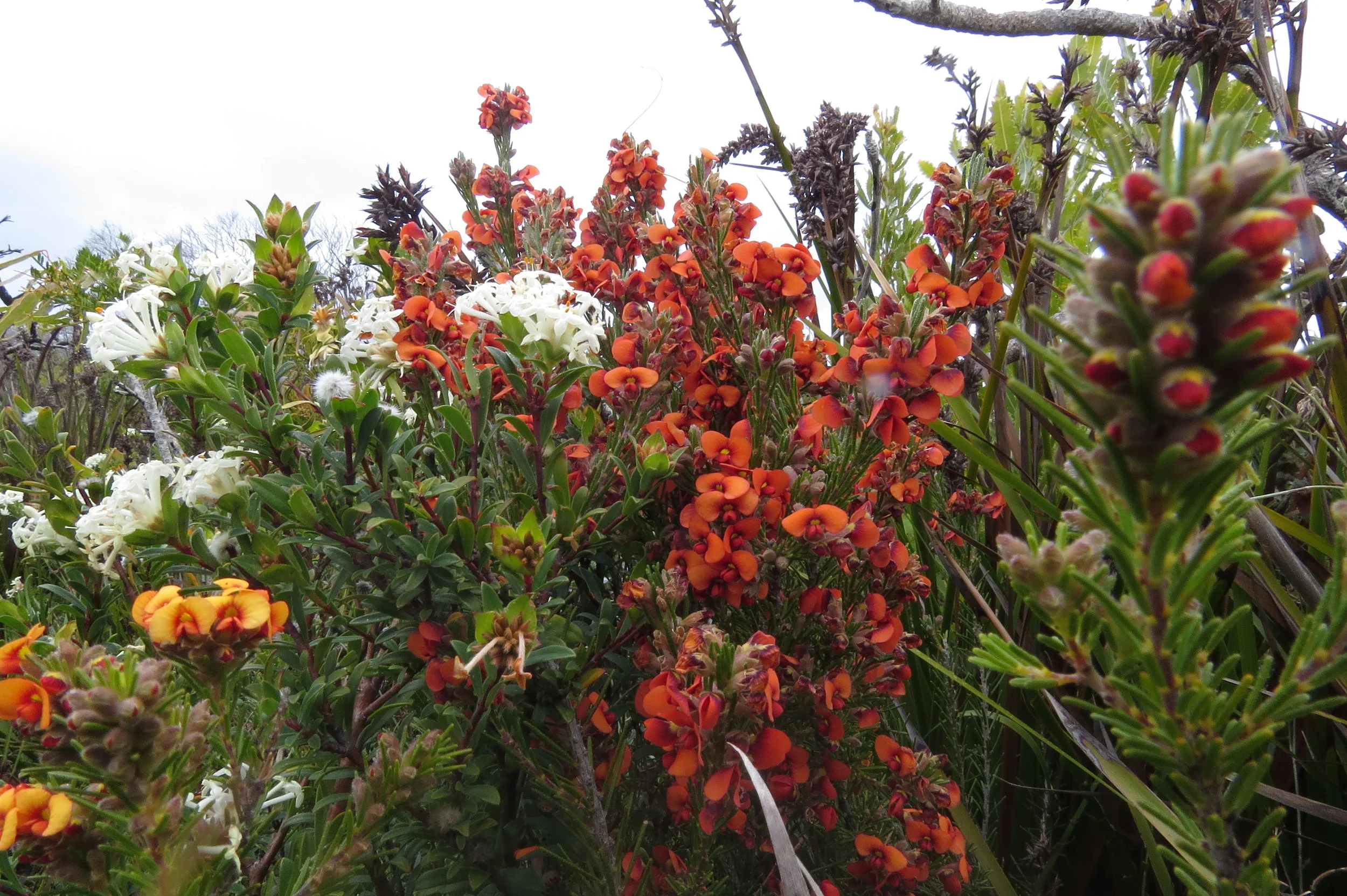 Mandeni Meandering to Greencape Gales
