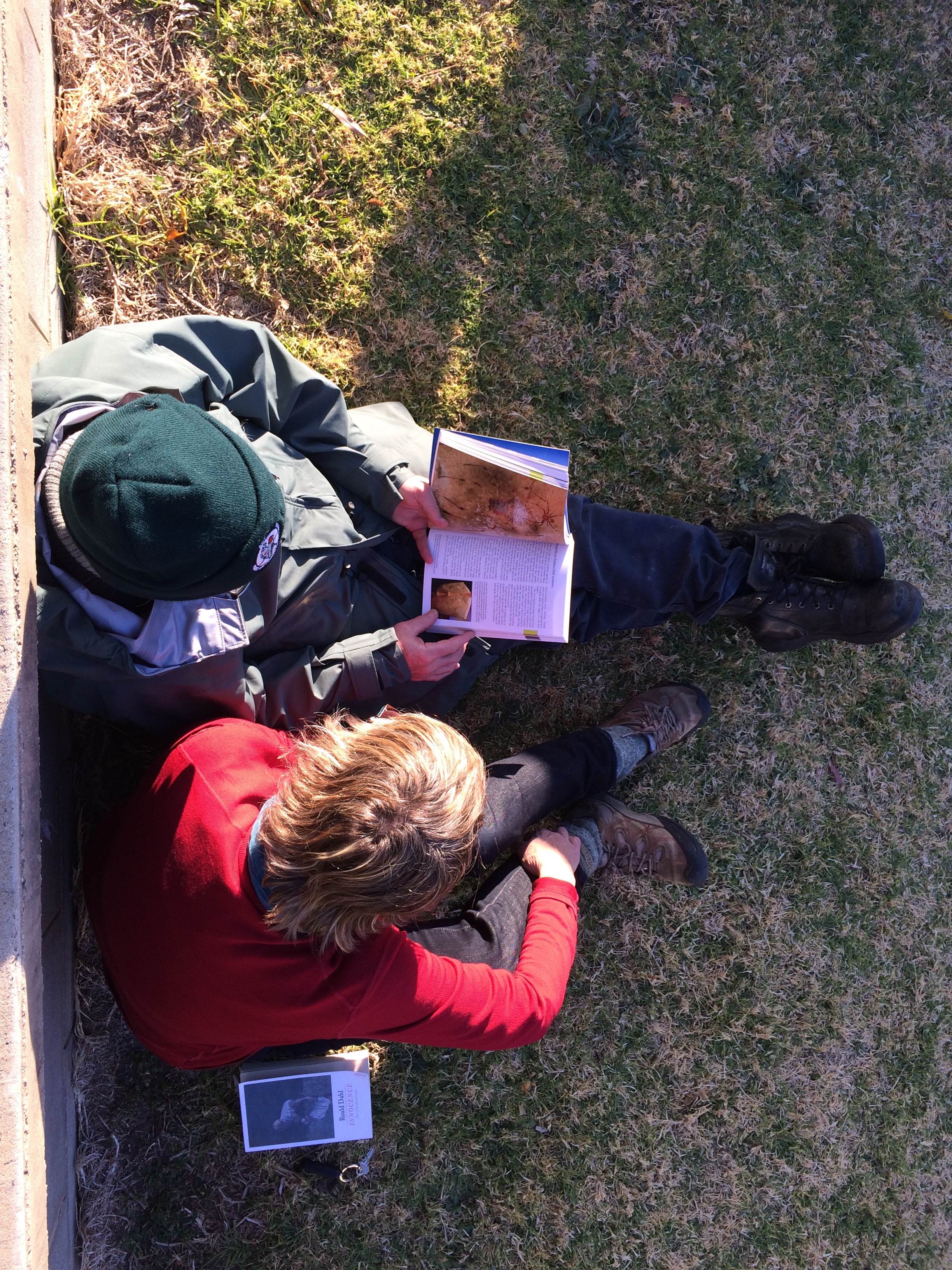 Great "Little Things" BioBlitz