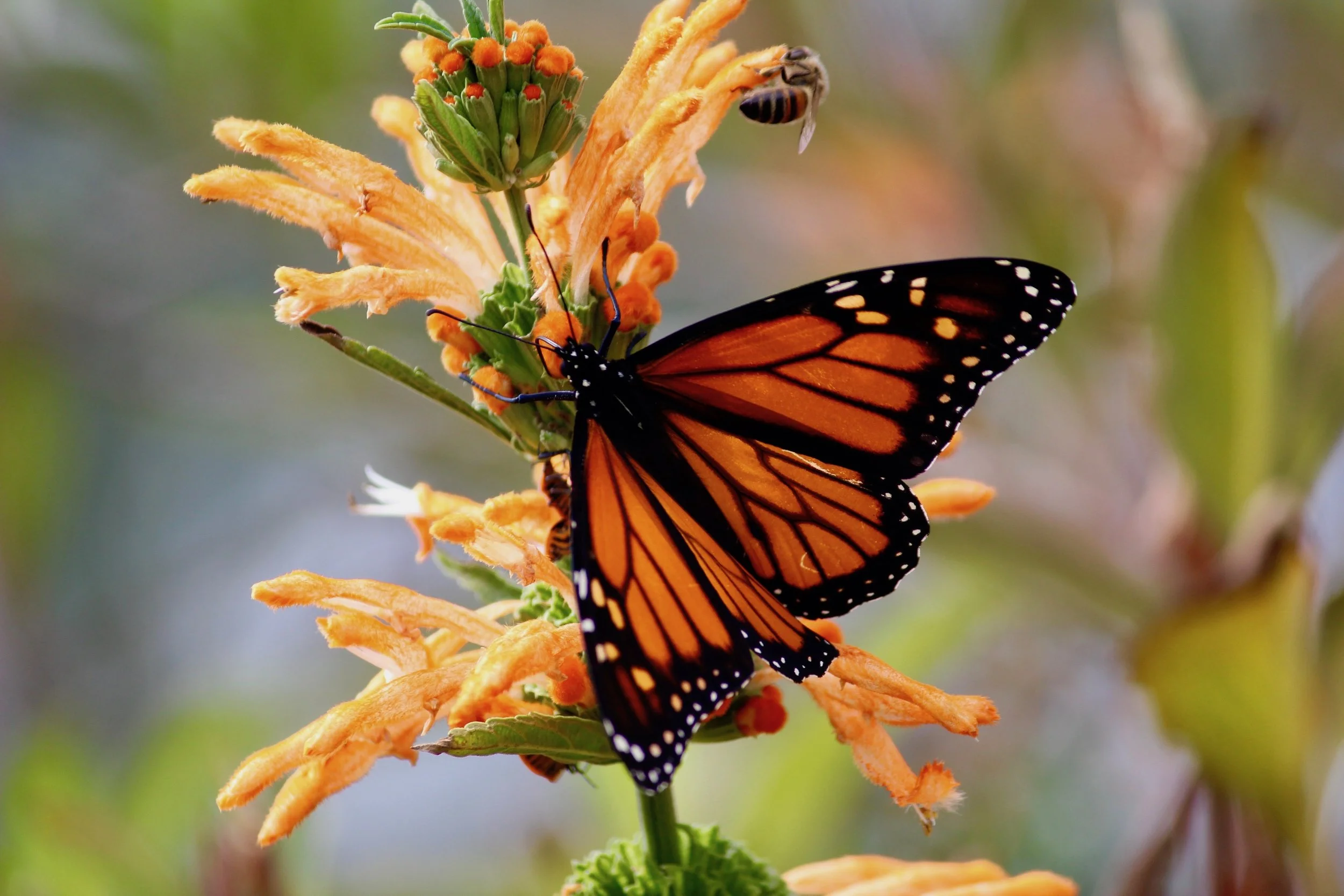 "Wild Eye" Photocomp winners exhibition