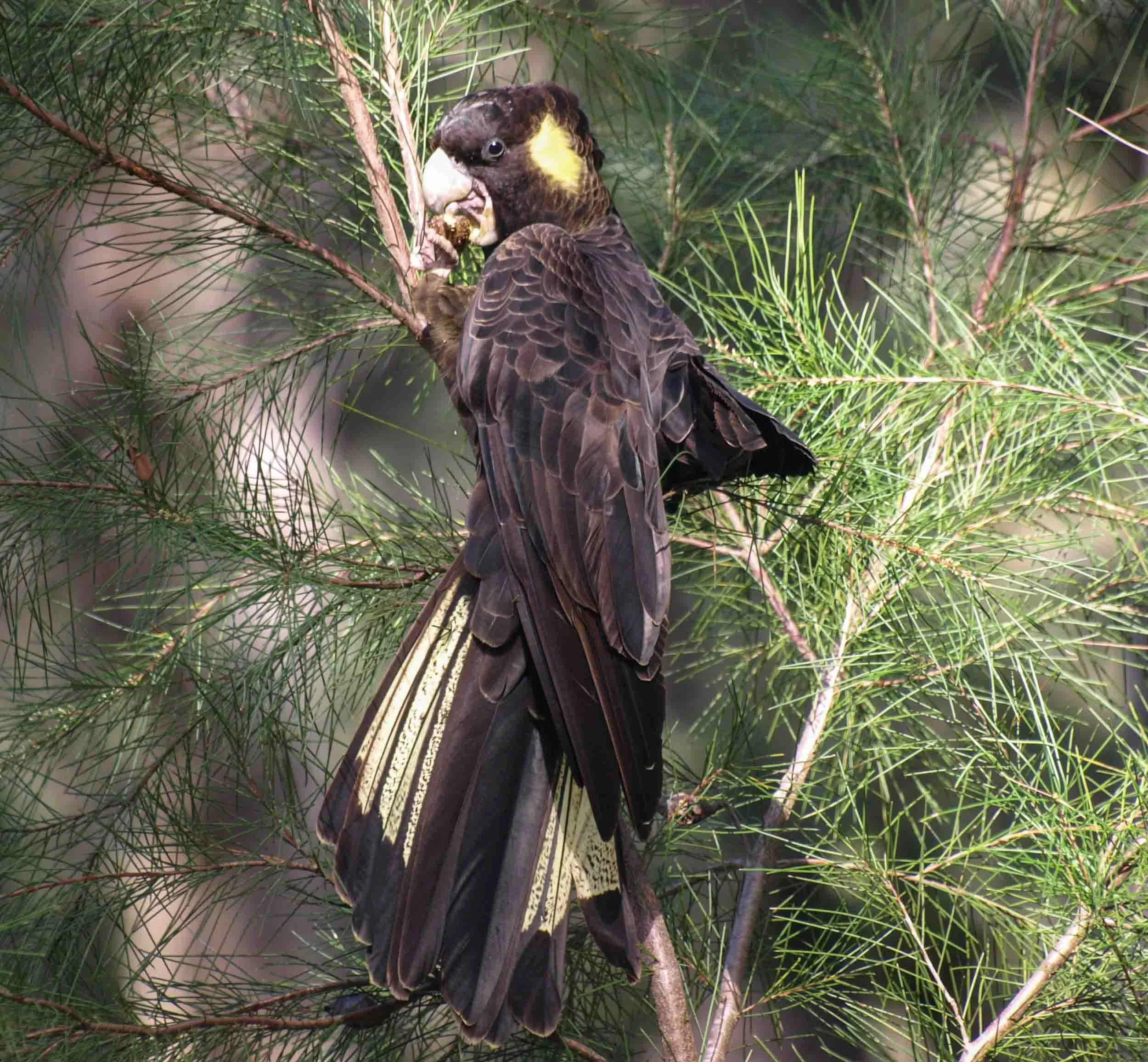 Photocompetition 2018 - early reminder