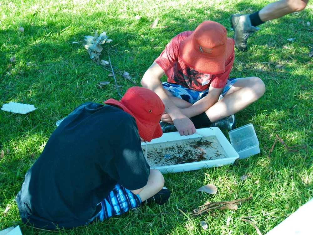 2014-0516-Bioblitz-Panboola_0054-copysmall.jpg