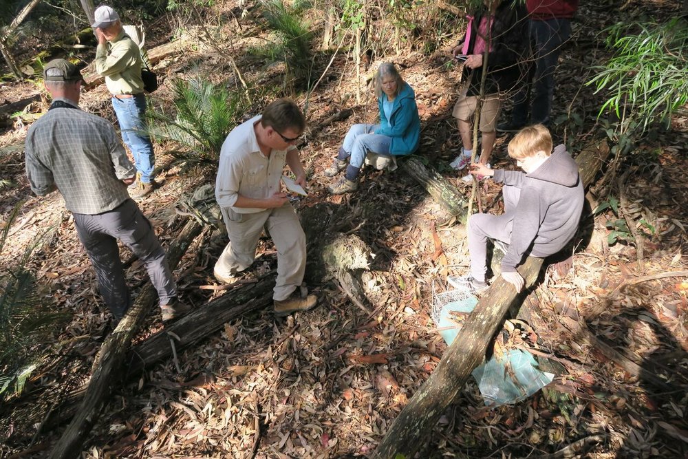  BioBlitzers helping Andrew Claridge at a small mammal survey 