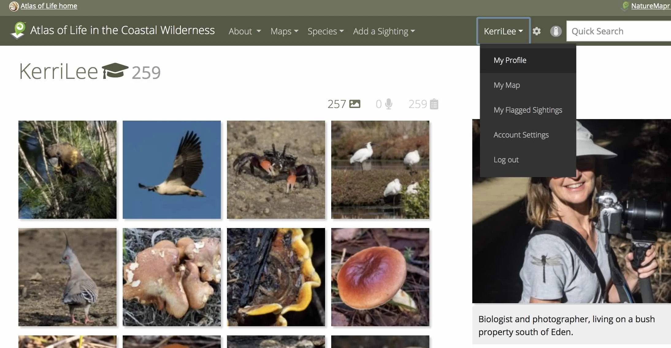 Screen Shot 2018-07-22 at 3.55.51 pm.jpg