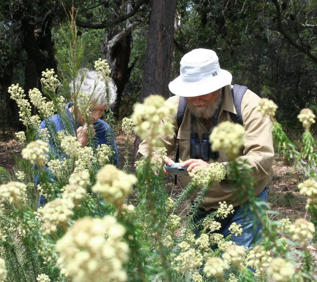 Star-hair pollinator survey: a summary
