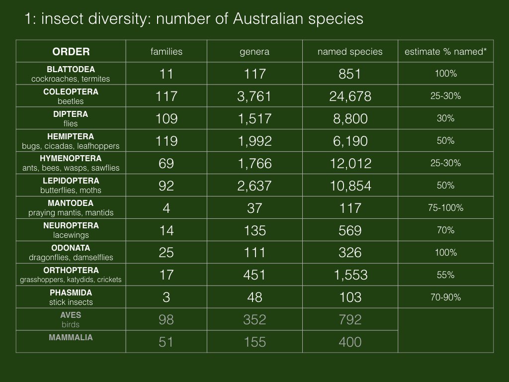 Based on data from Australian Faunal Directory (family, genus, named species) and biodiversity report by Chapman, published in 2009 (estimate of total species)