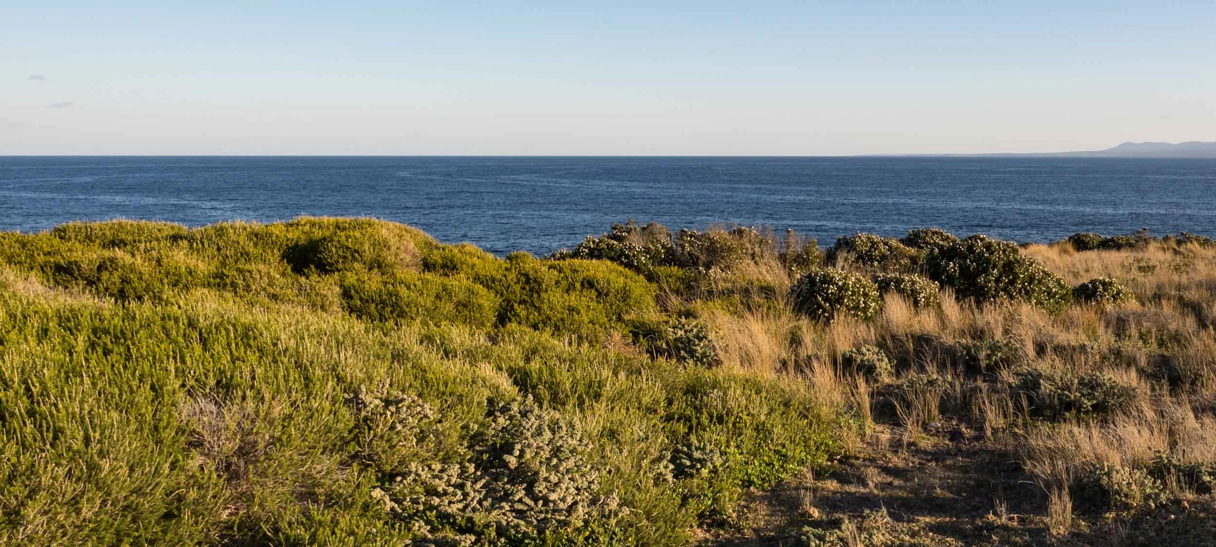 view south from Green Cape headland