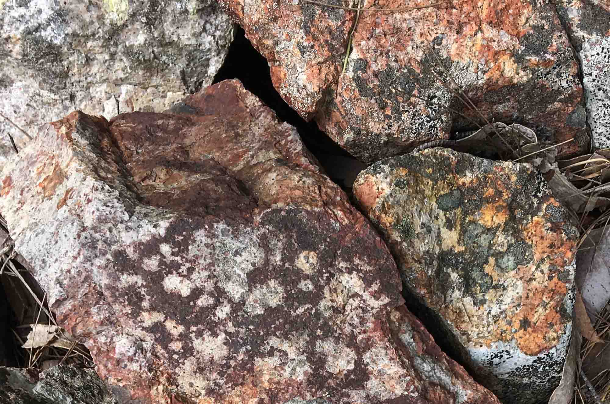 Geology with Mick Harewood (presentation)