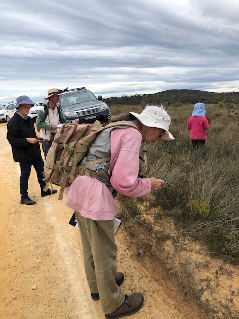 Jackie(sp?) the woman who can recognise 2,500 plant species  without having to look them up. Damien(sp) “Don't go too far Alex!"