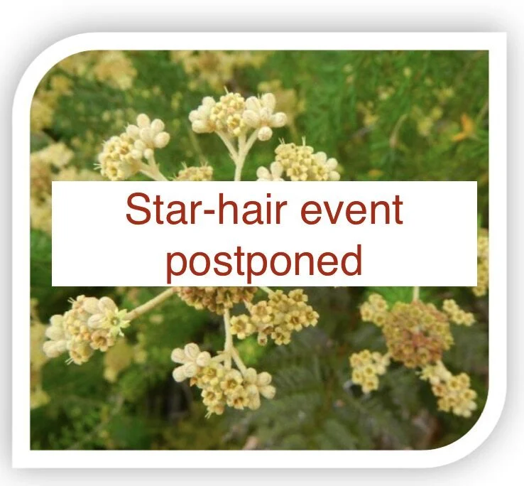 Event postponed