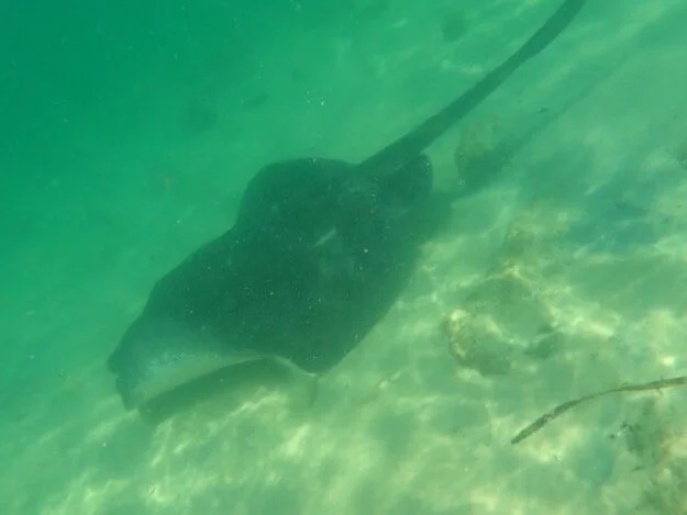 A Snorkeler’s Sapphire Summer