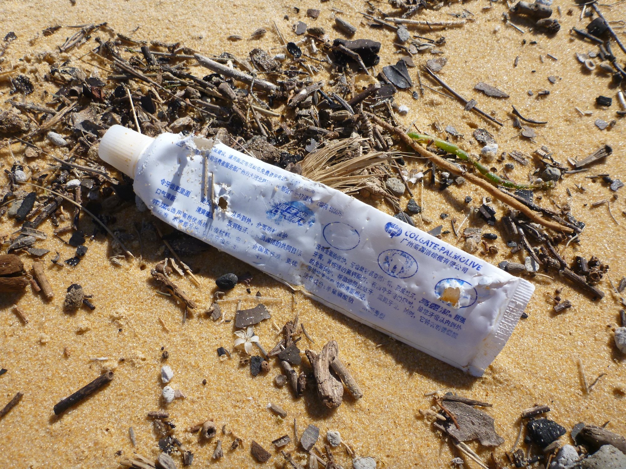 11 Toothpaste tube, Wallagoot Beach.JPG