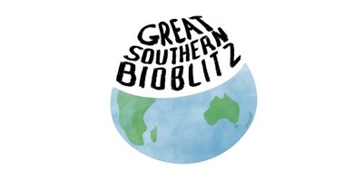 great southern bioblitz logo small-padding copy.jpg