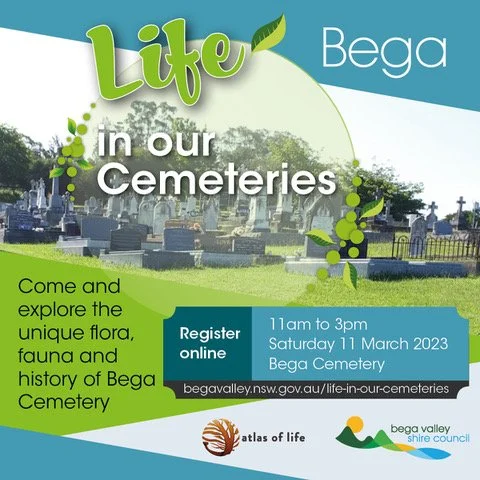 Life in our Cemeteries - Bega Cemetery