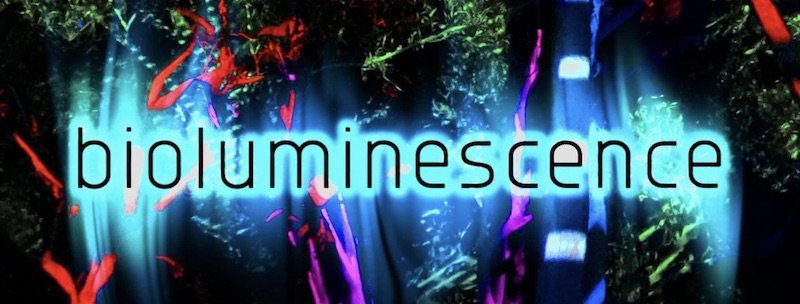 Biluminescence-profile-banner 1.jpeg