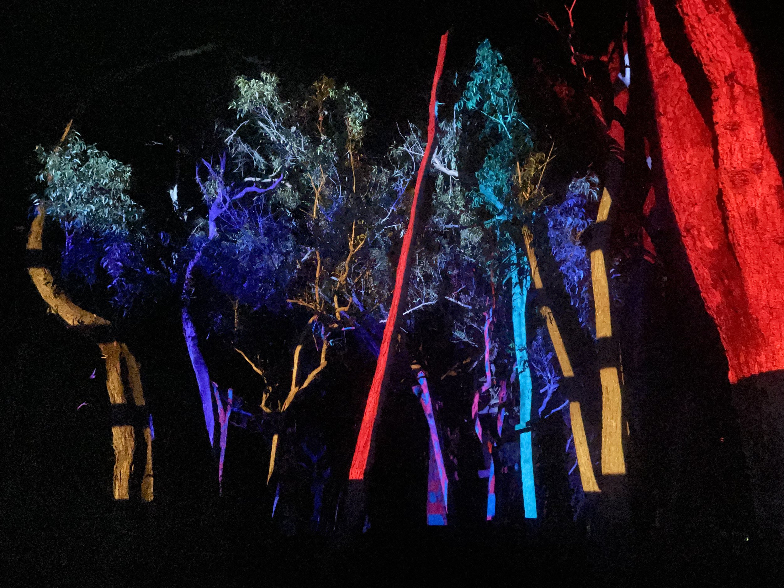 Montreal-Bioluminescence-Trees2-Photo-Lisa-Herbert.jpeg