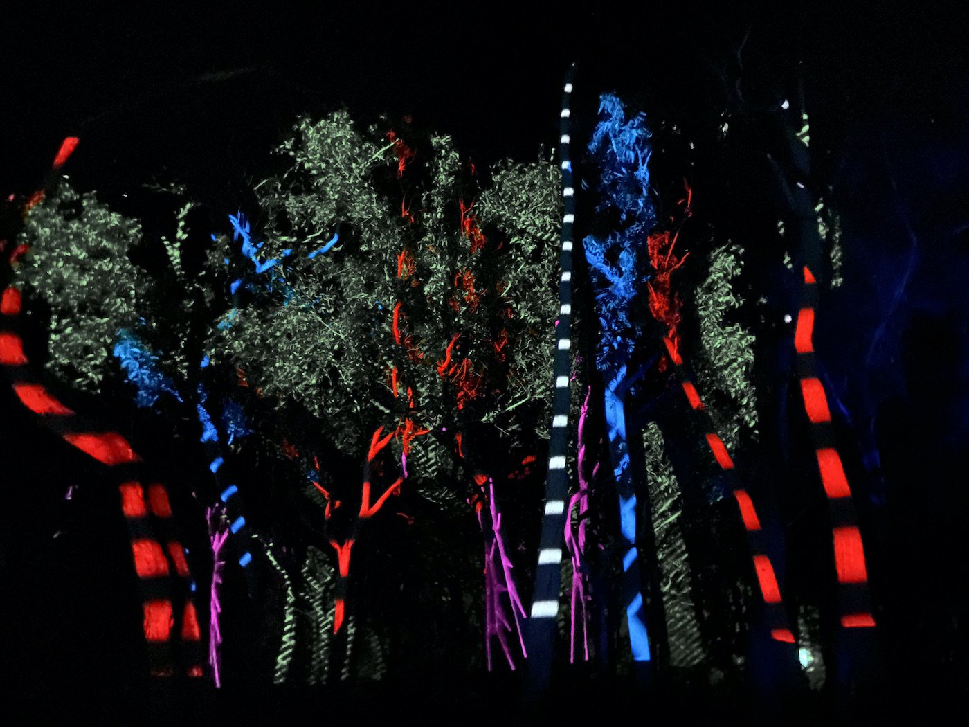 Bioluminescence-trees-lit-montreal-2022 small.jpeg