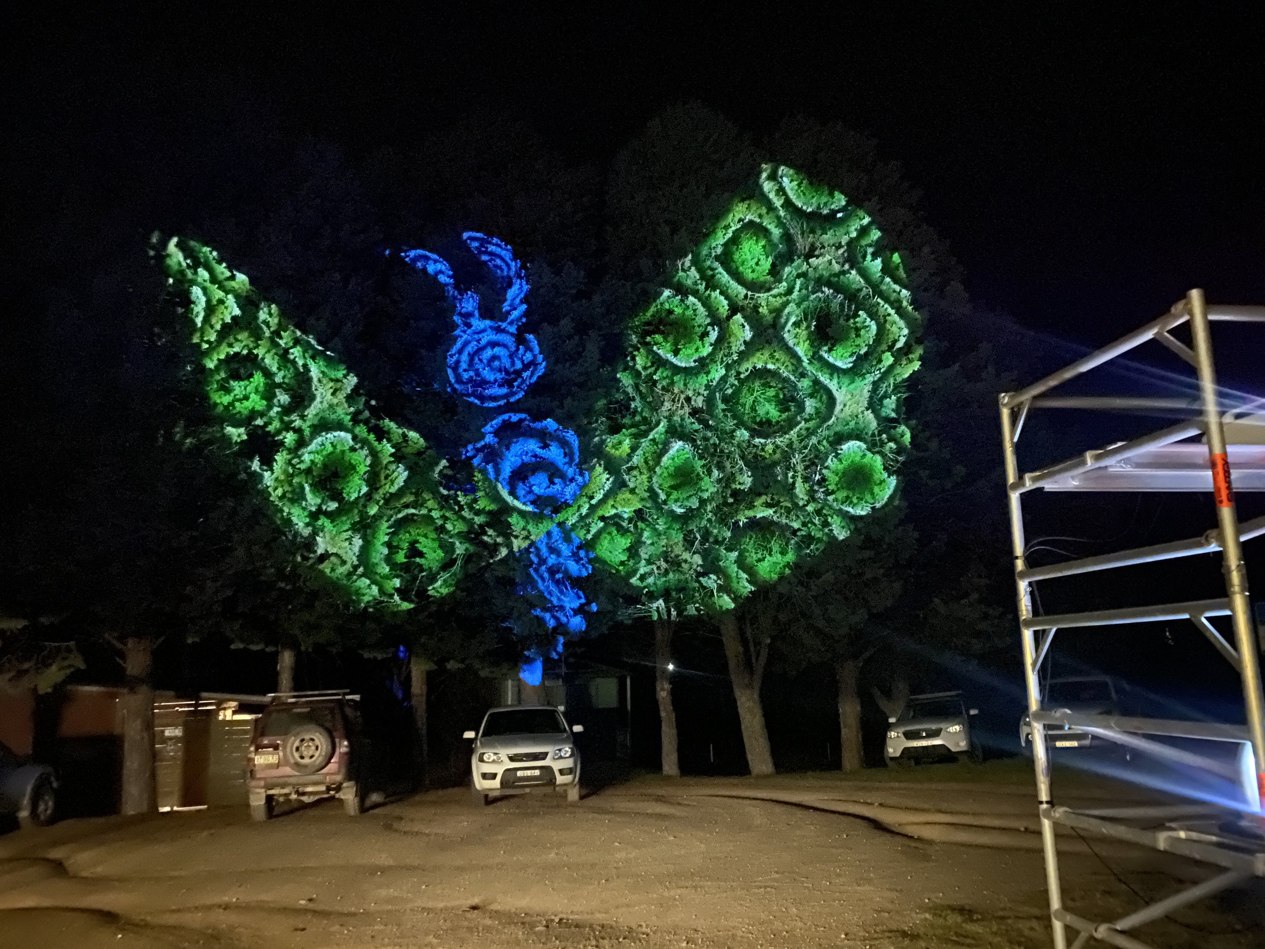 Bioluminescence @ Towamba