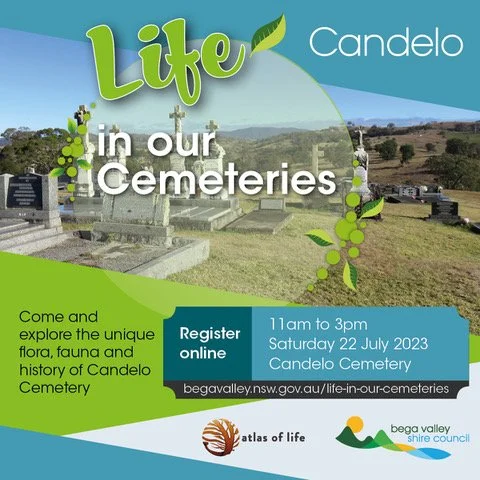 Life in our cemeteries - Candelo