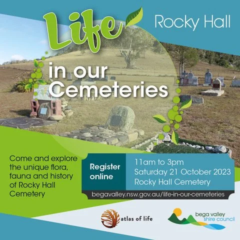 Life in our cemeteries - Rocky Hall