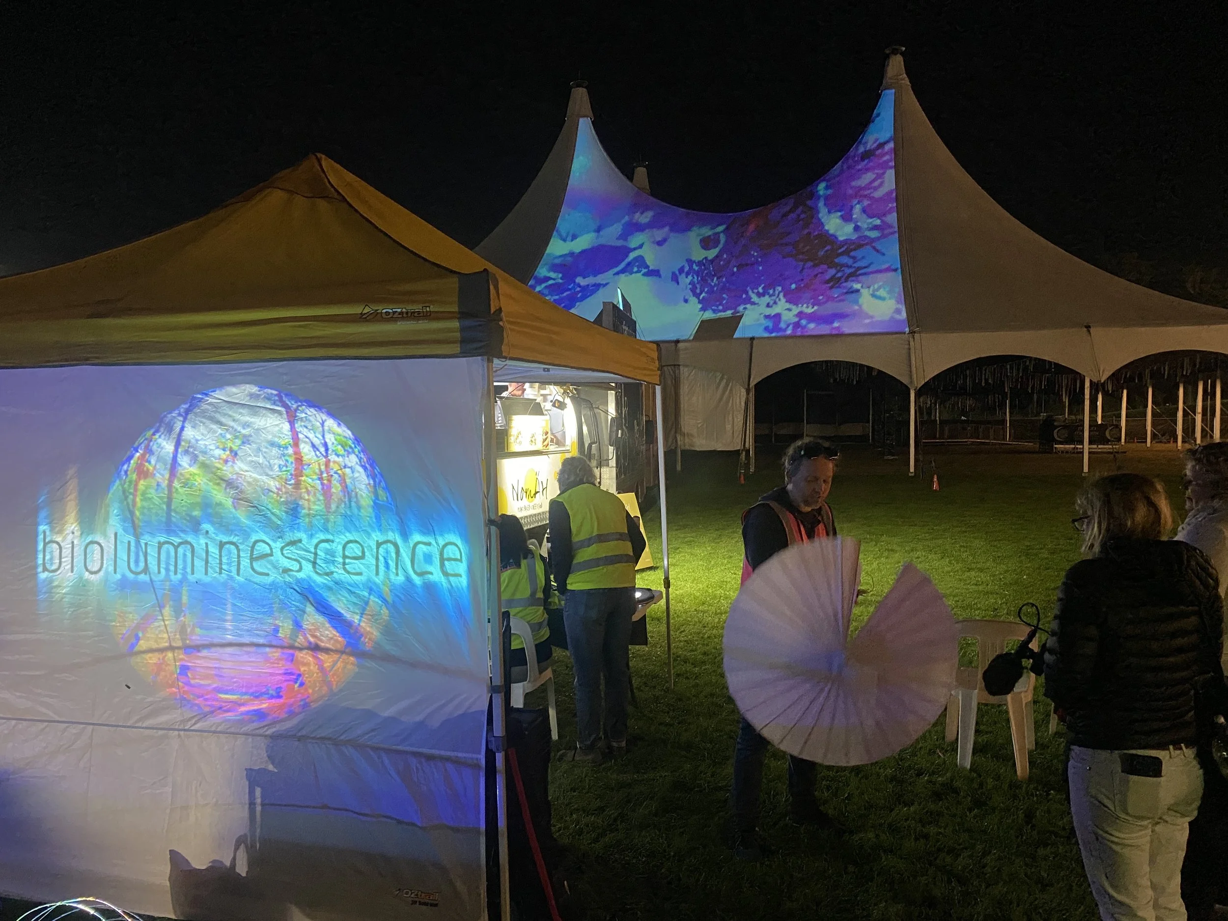 Bioluminescence @ Wanderer Festival