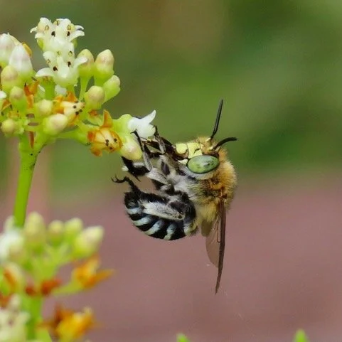 Introducing the judges for our 2024 photo competition
