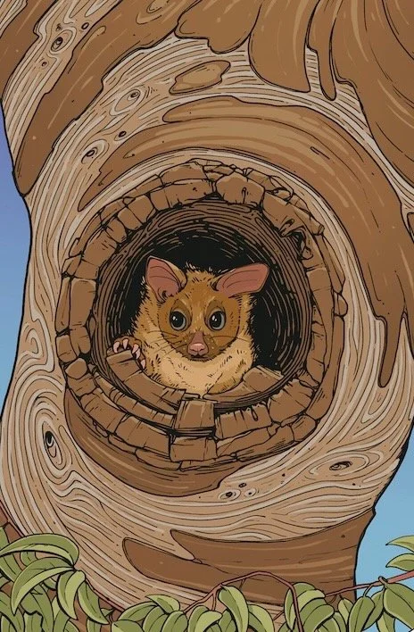 The Bush and Us - How Hollow is the Bega Valley