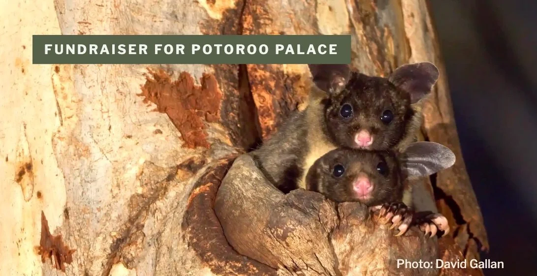 Fund Raiser for Potoroo Palace