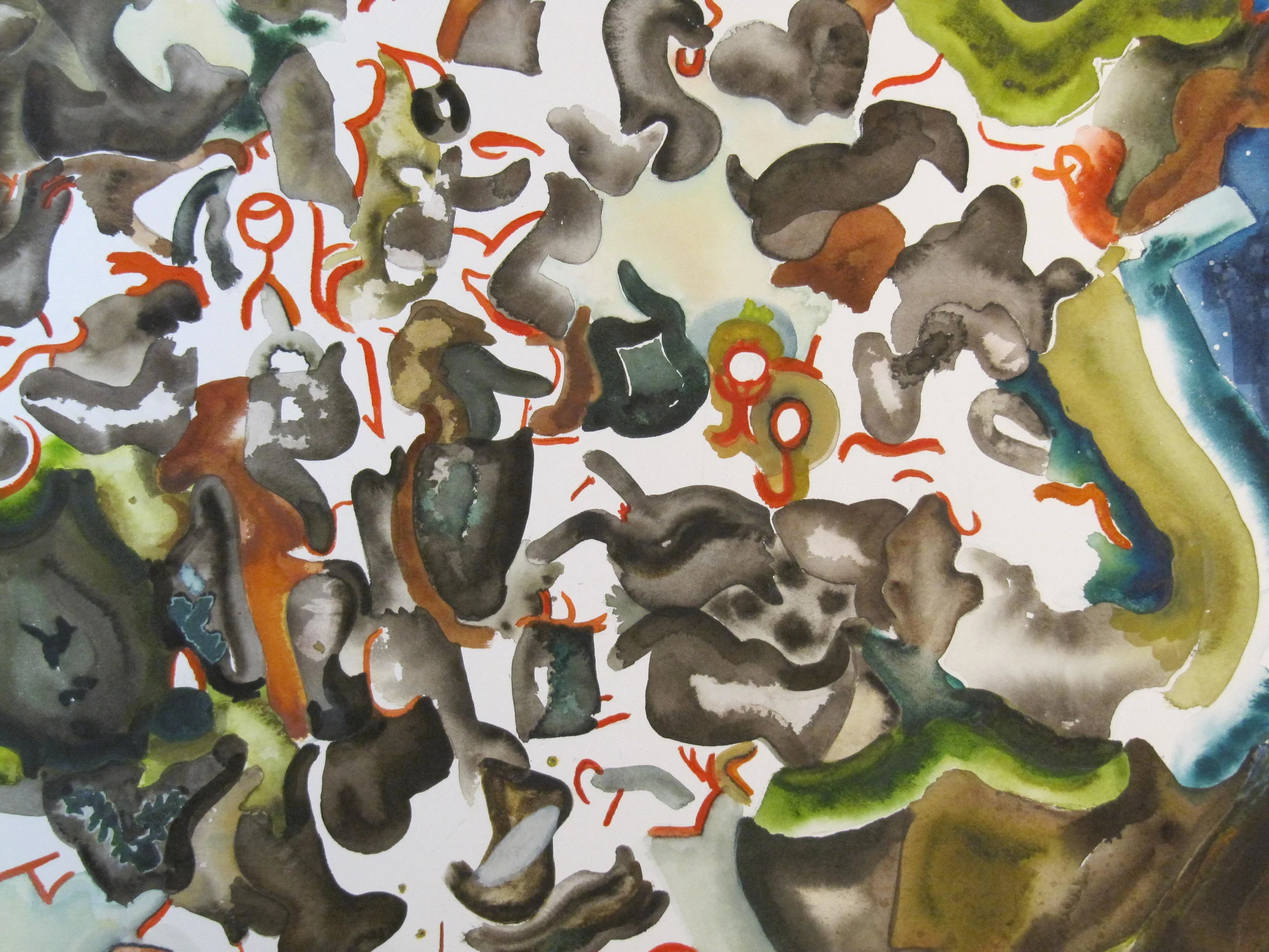 Graphis scripta I